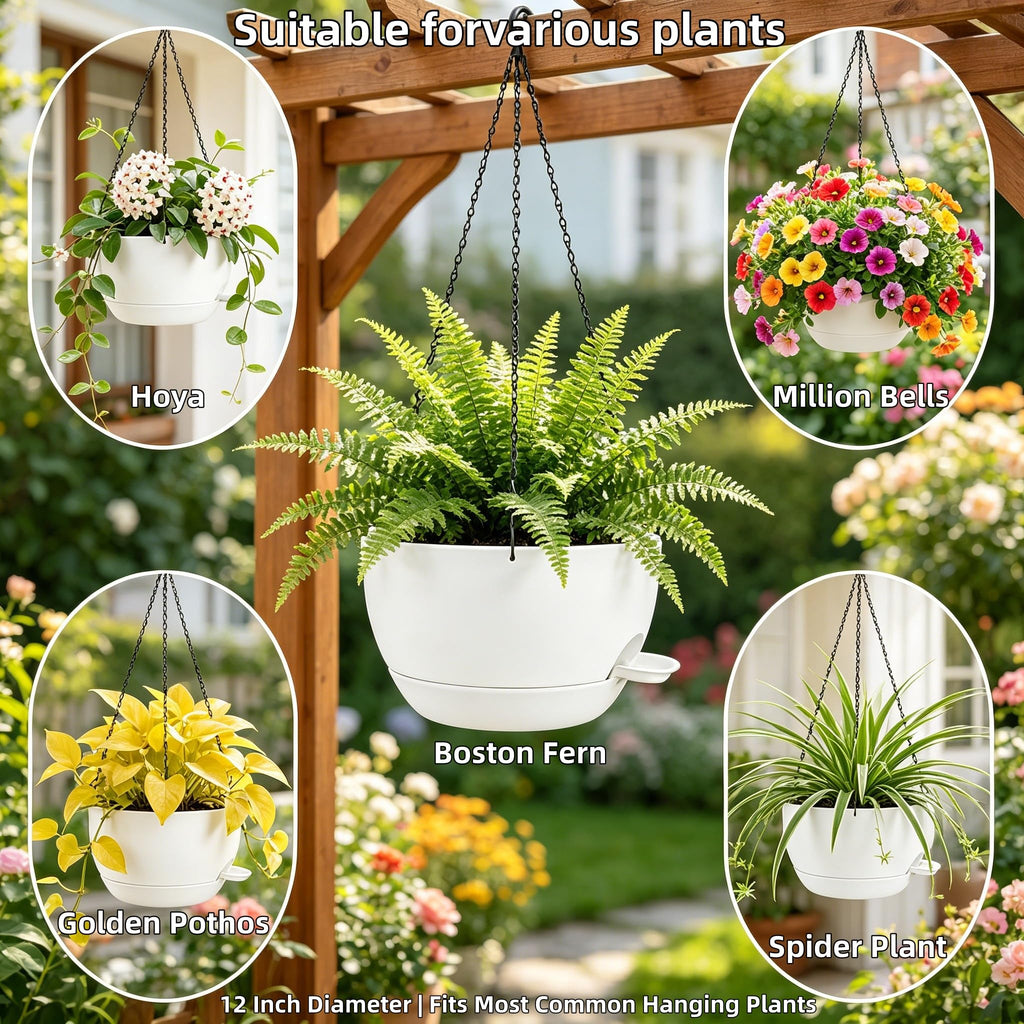 12" Self Watering Hanging Planters with Chains, White, 2 Pack