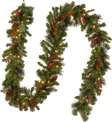 Tree Company 9ft Pre-Lit Crestwood Spruce Christmas Garland | 50 Warm White LED Lights, 180 Tips, Artificial