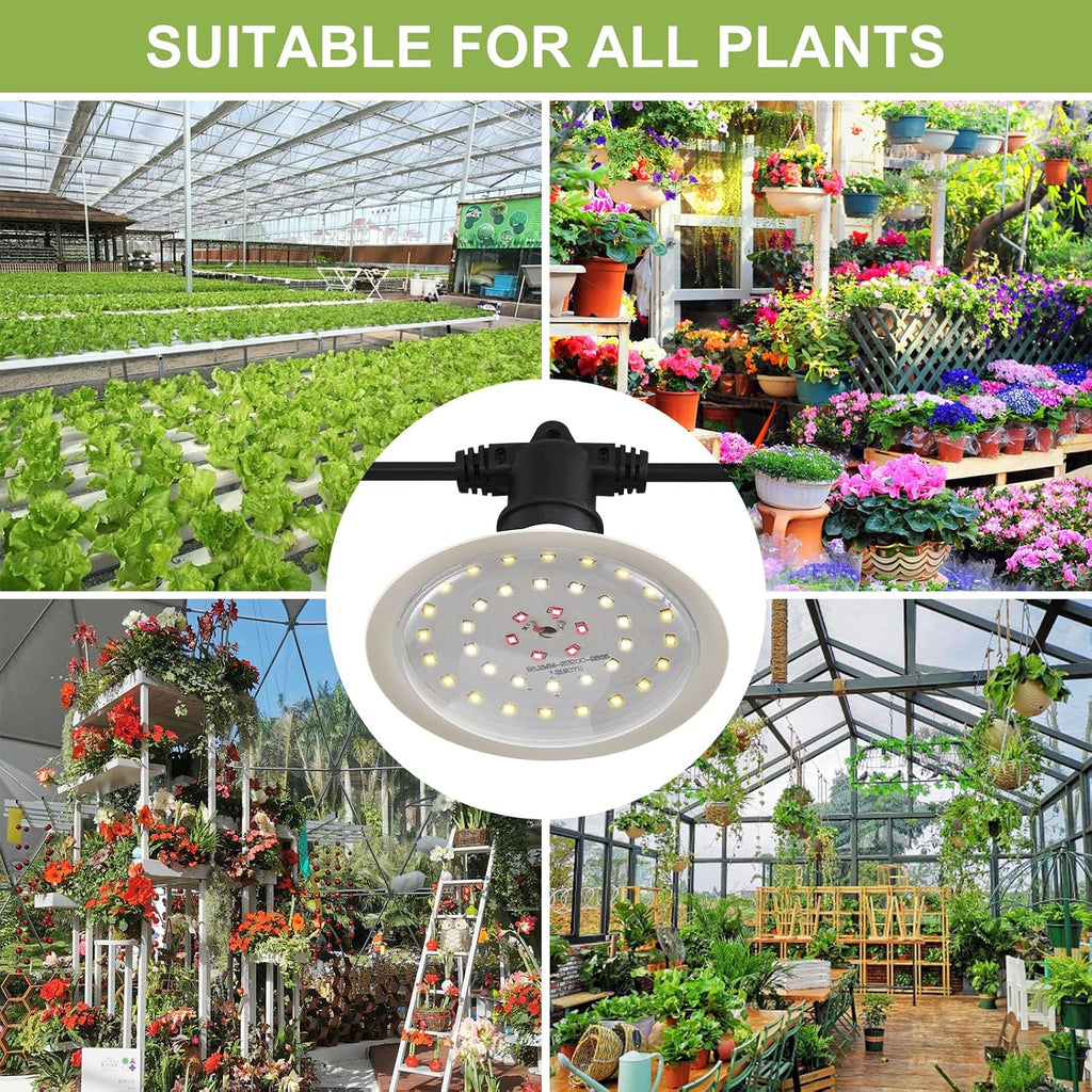 Grow Lights for Indoor Plants, Full Spectrum Grow Light Bulbs, 15W, E26 Base, High PPF Plant Light Bulbs