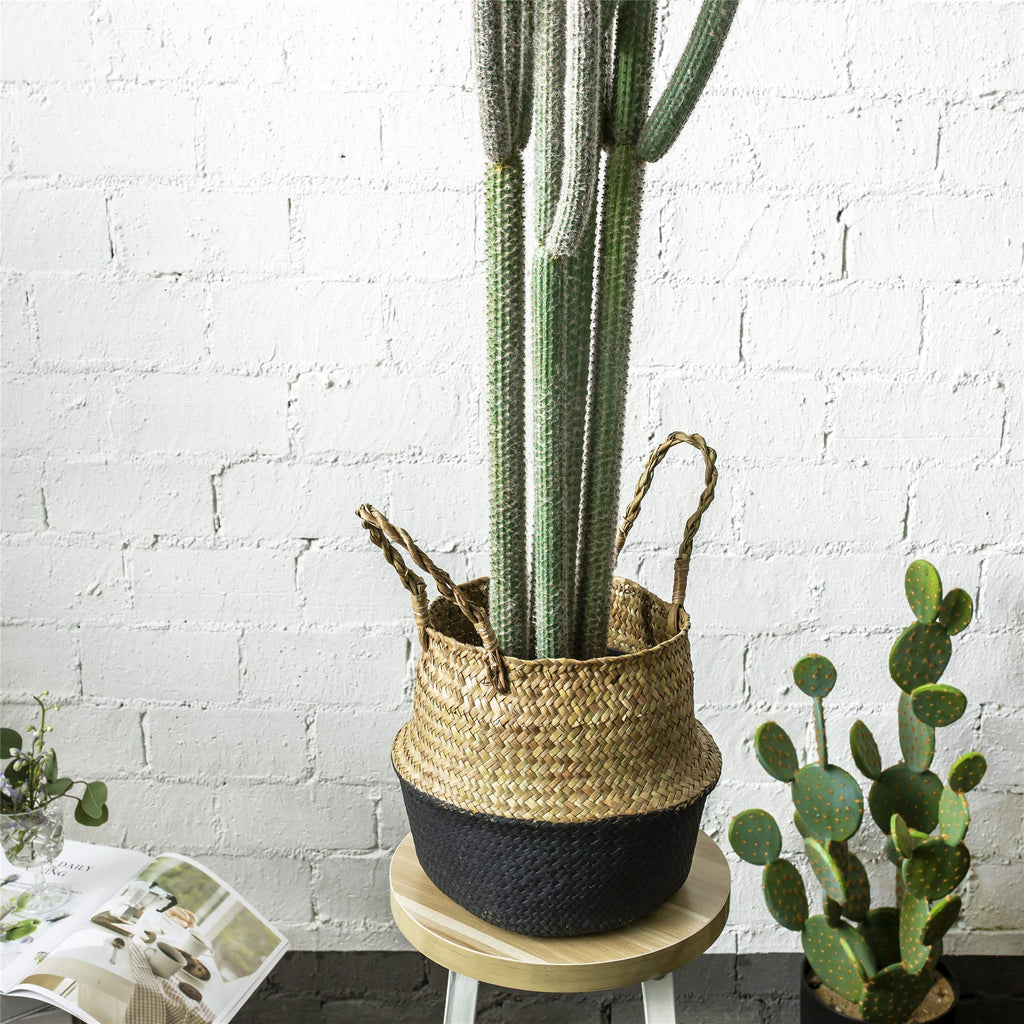 4ft Tall Artificial Cactus in Plastic Planter with Seagrass Basket