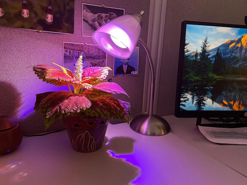 Purple Spectrum Ultra Grow Light Bulb for Pet Greens