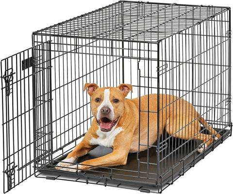Intermediate LifeStages Single Door 36-Inch Folding Dog Crate, Enhanced Security, Includes Leak-Proof Pan