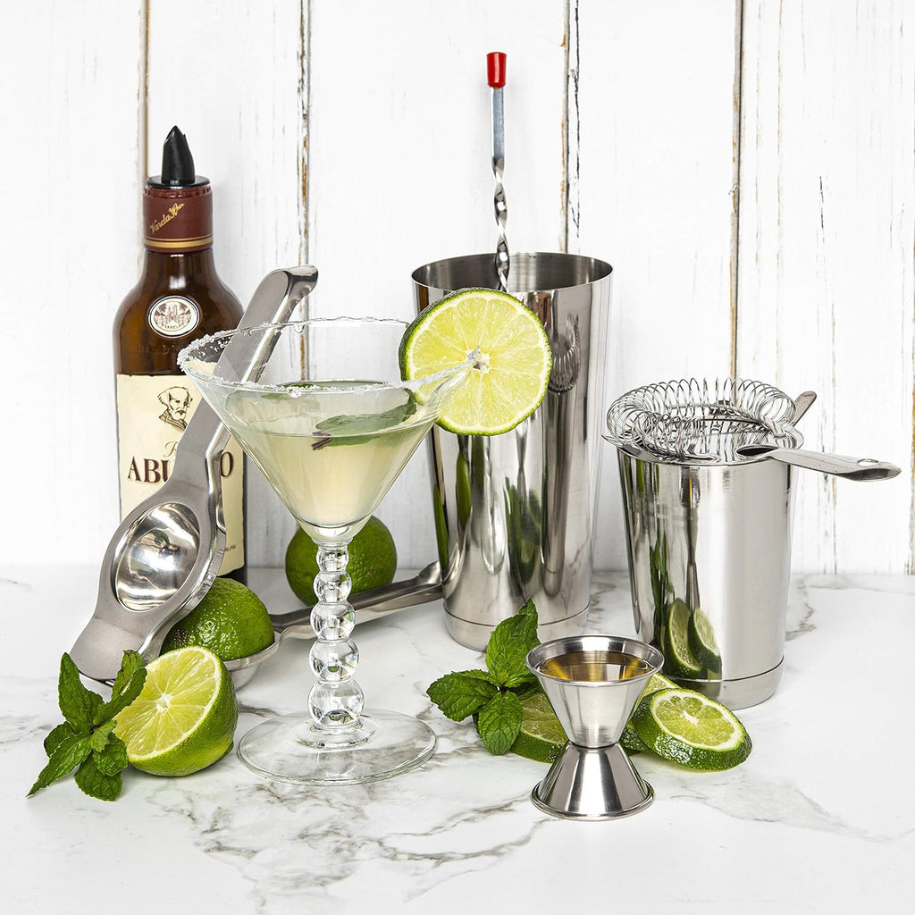 Bar Set Cocktail Shaker Set, Stainless Steel Mixology Bartender Kit, 16 Piece Cocktail Kit, Silver Cocktail Set, Bar