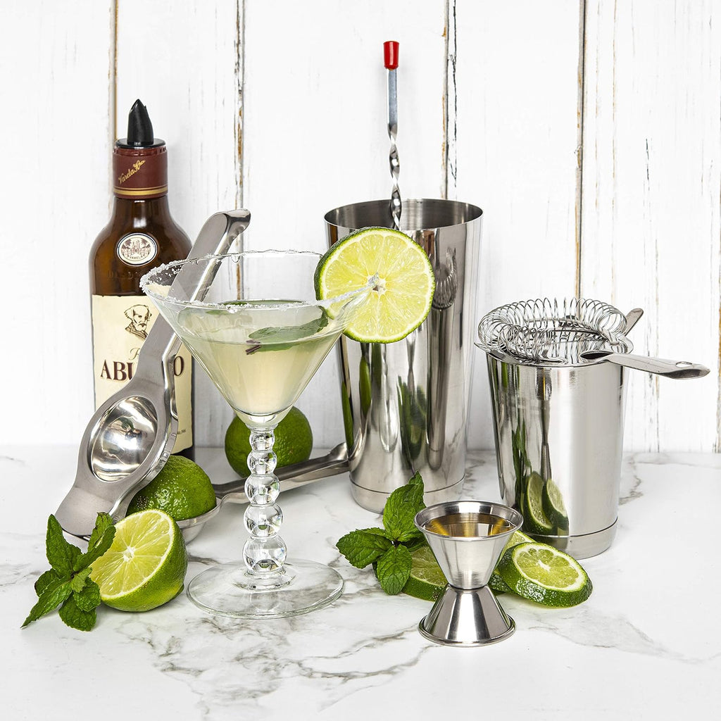 Bar Set Cocktail Shaker Set, Stainless Steel Mixology Bartender Kit, 16 Piece Cocktail Kit, Silver Cocktail Set, Bar