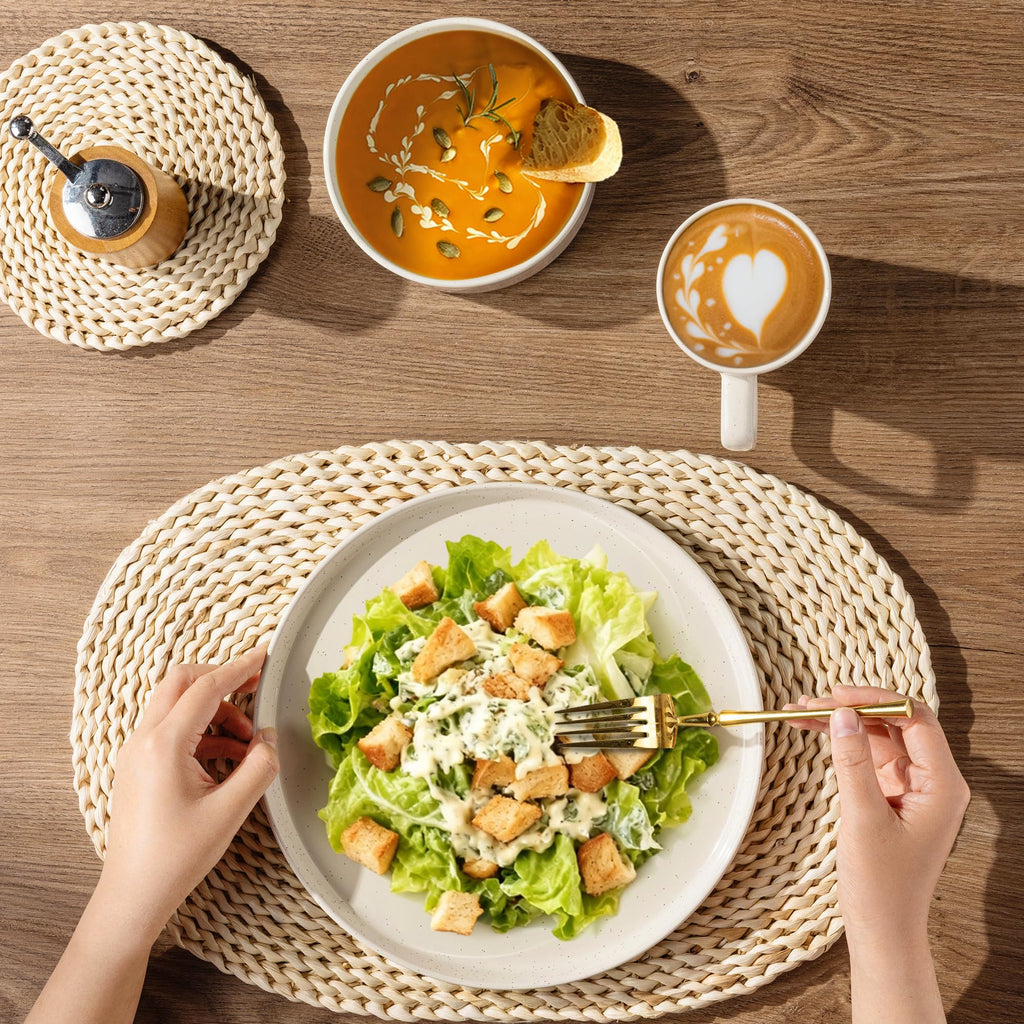 Stoneware Dinnerware Sets for 8,24 Pcs Plates and Bowls Set