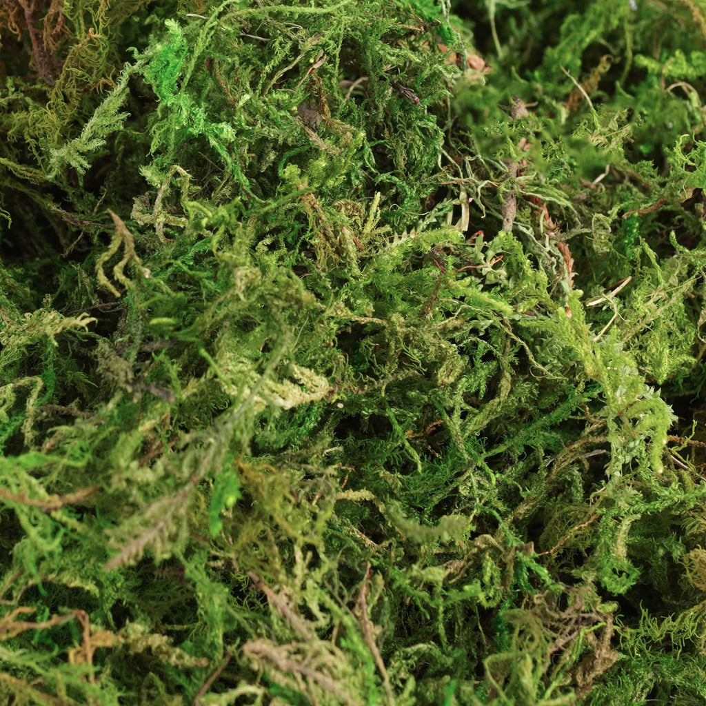 32OZ Large Capacity Artificial Moss - Bulk Fake Moss for Plants Indoor, Planter Filler for Artificial Plants, Crafts