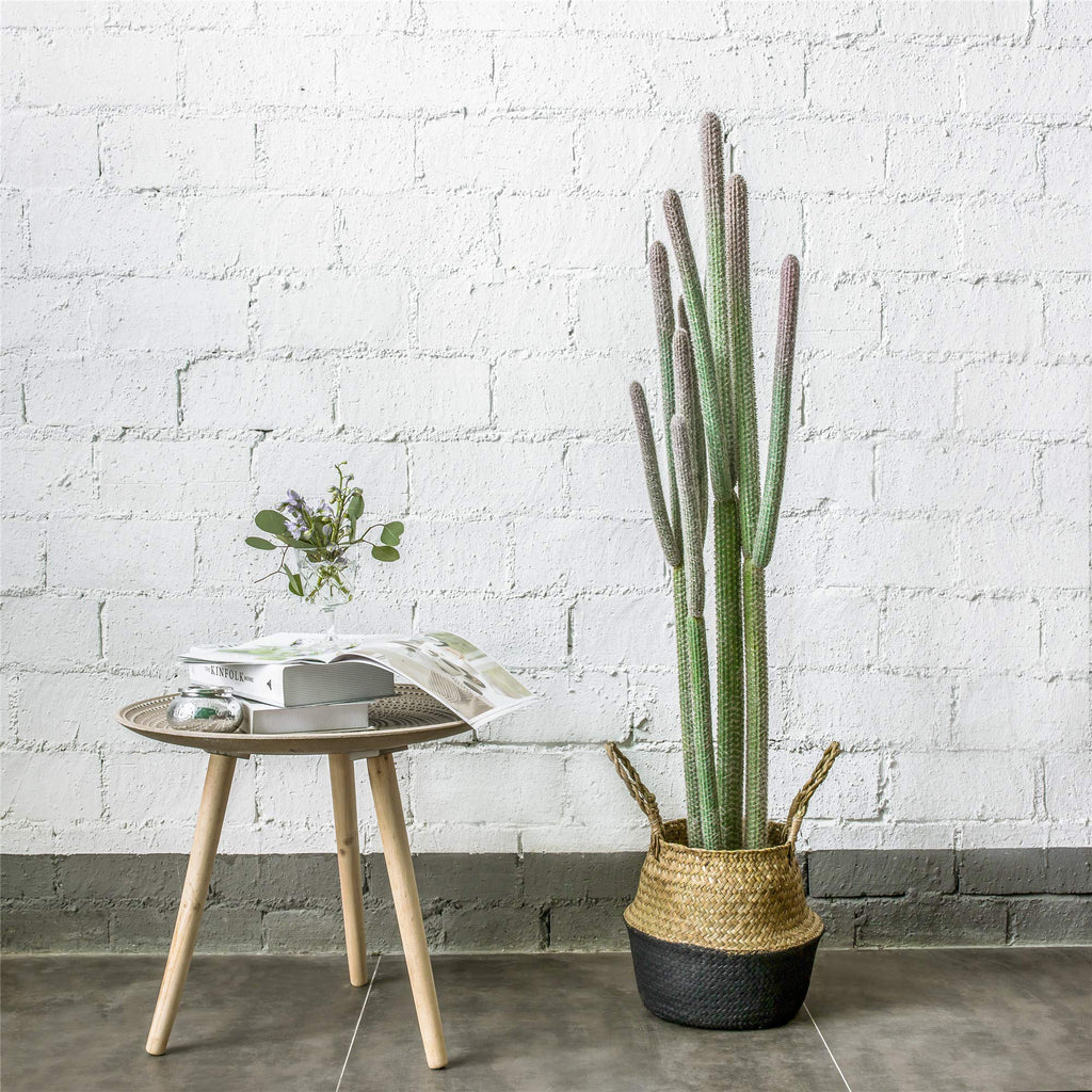 4ft Tall Artificial Cactus in Plastic Planter with Seagrass Basket