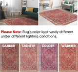3x5 Rug - Machine Washable Entry Rug with Non-Slip Backing, Ideal