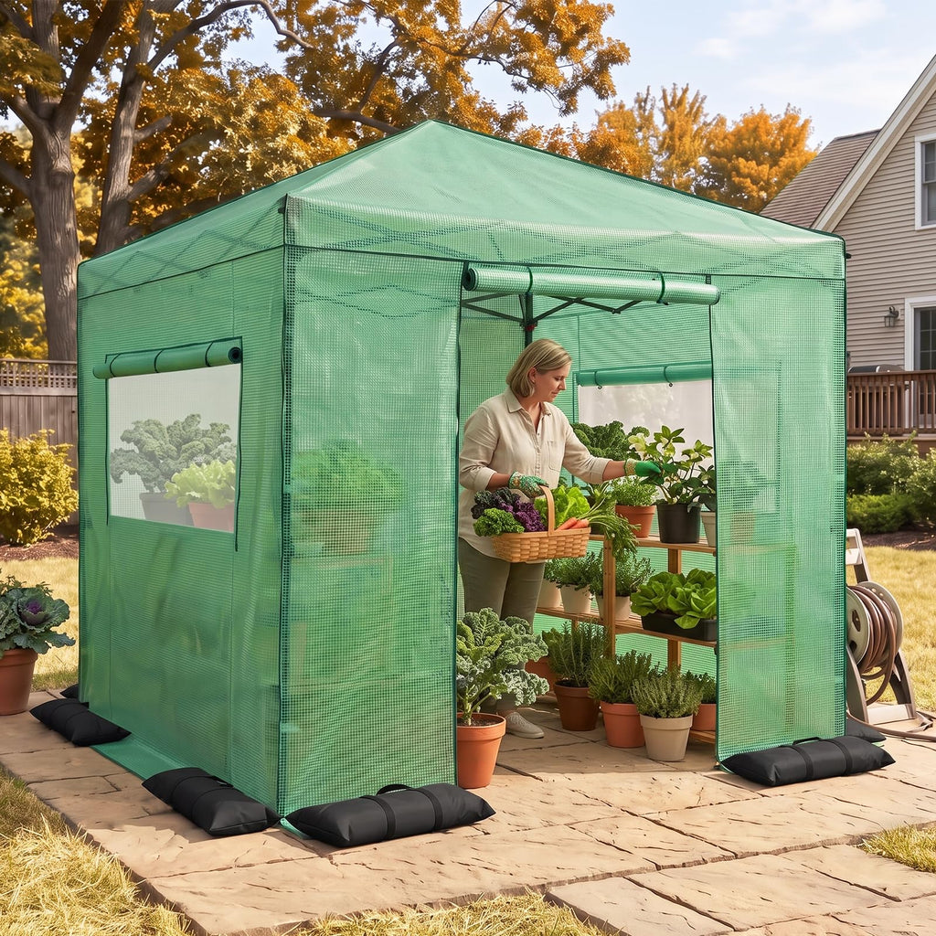 8x8 Easy Setup Pop Up Greenhouse, Clear/Green