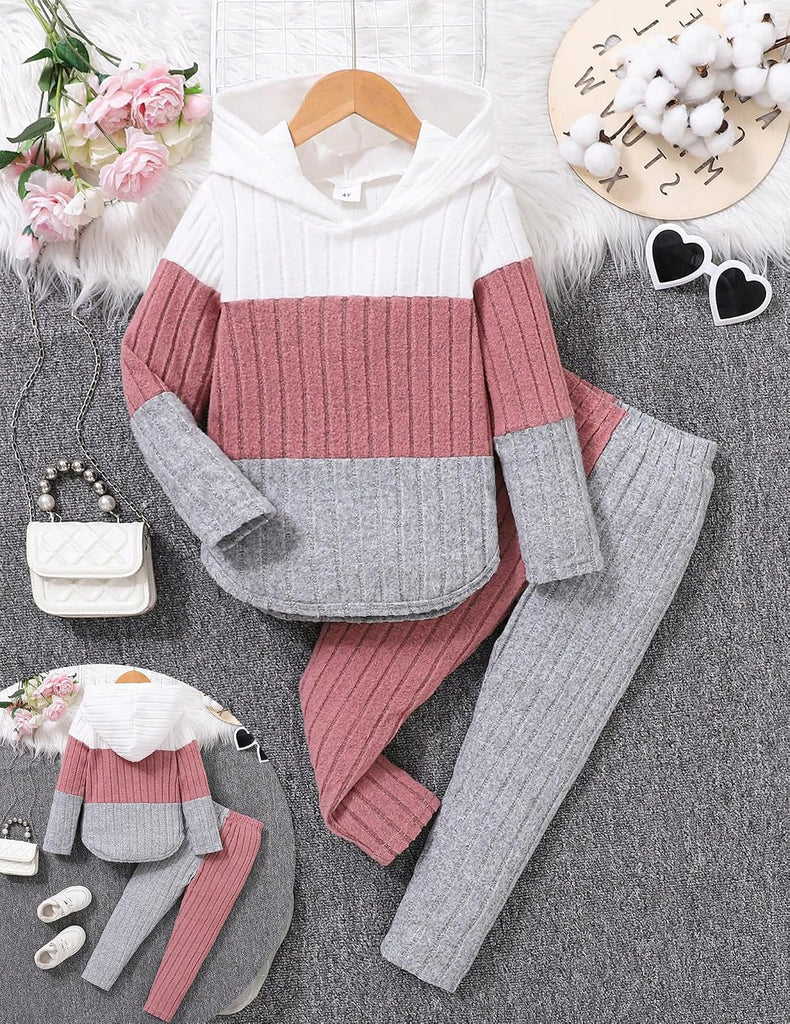 Clothes Fall Girl Outfits 2Pcs Hoodie Pullover Sweatshirt+Pant+Leggings Winter Set for Little Girls
