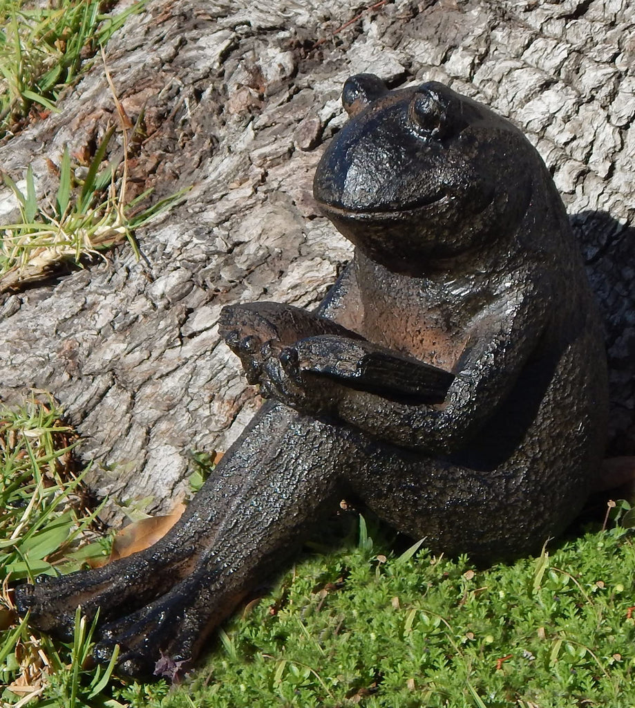 Quite Reading Garden Frog Statue, Polystone