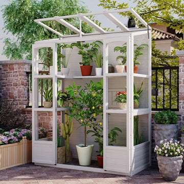 78-inch Wooden Greenhouse Cold Frame with 4 Independent Skylights and 2 Folding Middle Shelves, Walk-in Outdoor