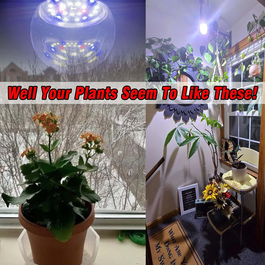 E12 Candelabra Small Base Grow Light Bulbs with Blue Red 5000K LEDs, 3 Pack