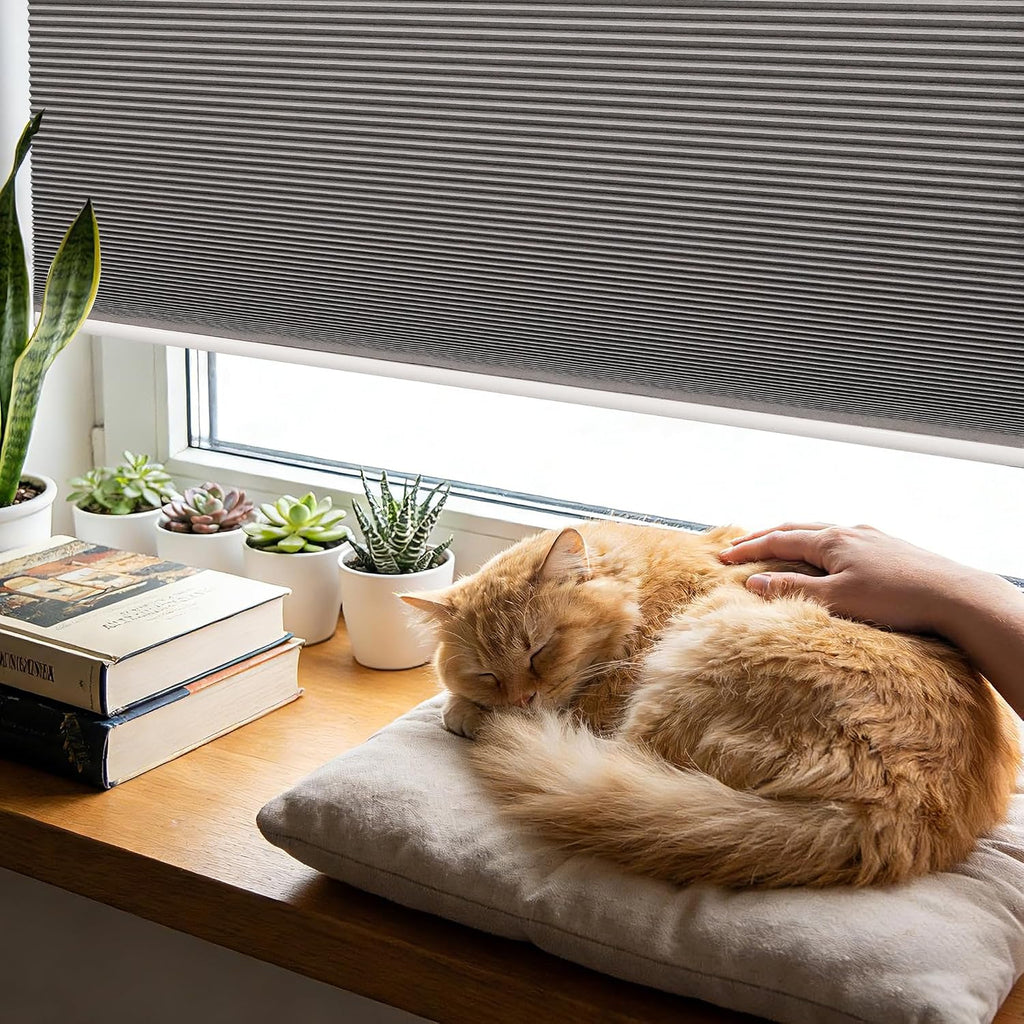 No Drill Cordless Cellular Shades, Blackout, White, 21x48 | Tool-free installation for renters; insulated honeycomb