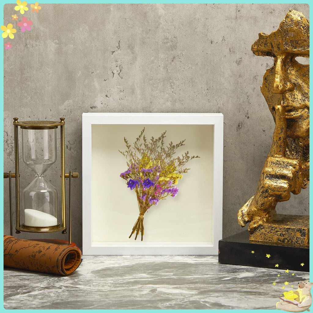6 Pieces Shadow Box Picture Frame, White, 12 X 12 Inch