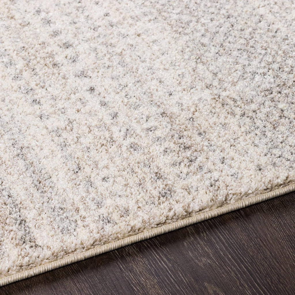 Harpursville Area Rug - Abstract Ombre Faded - Contemporary Modern Scandinavian Minimalist Transitional - High Pile