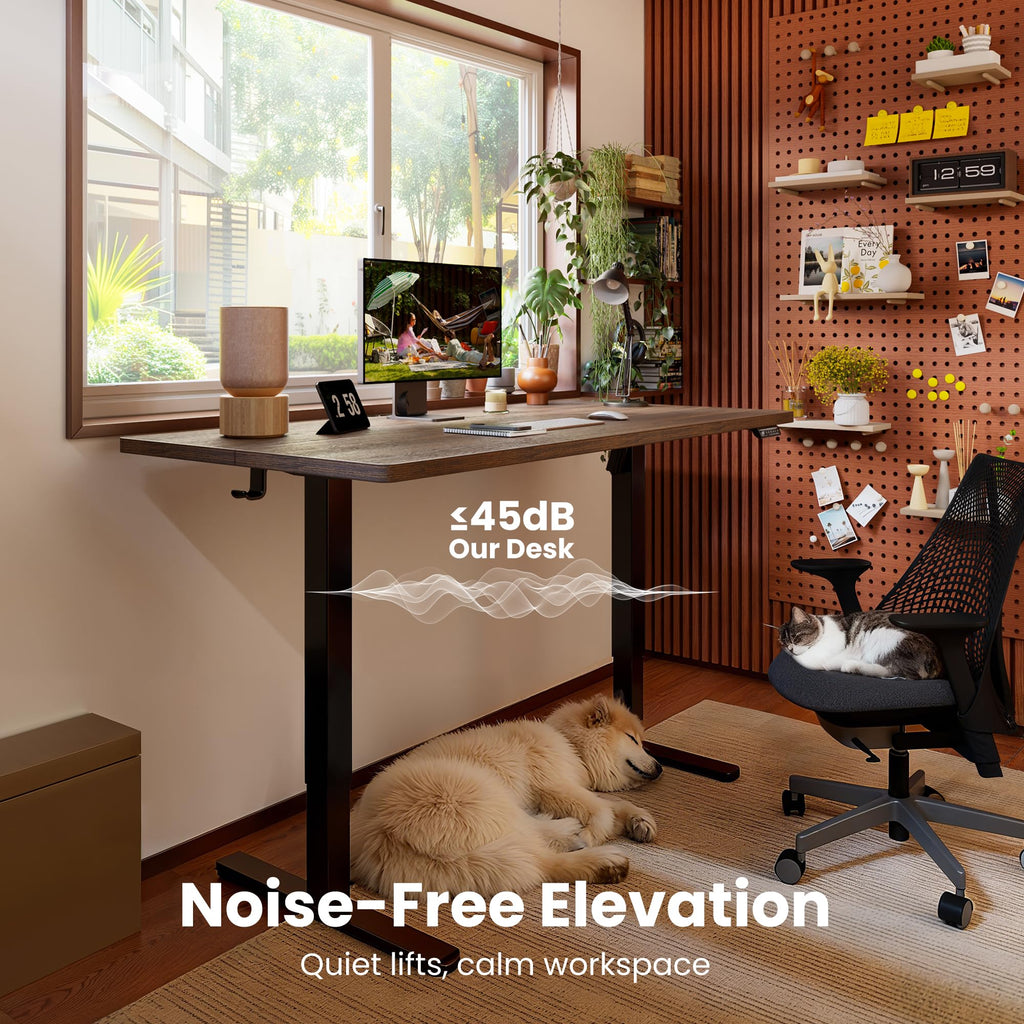 Height Adjustable Electric Standing Desk, 63 x 28 Inches Sit Stand up Desk, Memory Computer Home Office Desk, Dark