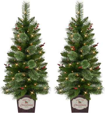 International Set of 2 Artificial Cashmere Pre-Lit Battery-Operated Potted Christmas Trees with Berries