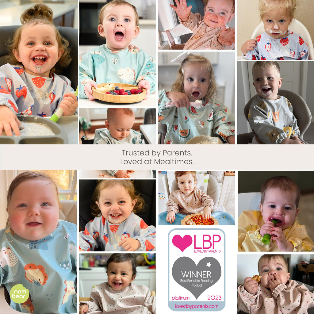 Waterproof Smock Baby Bibs for Eating (6-24 Months), 1 Pack