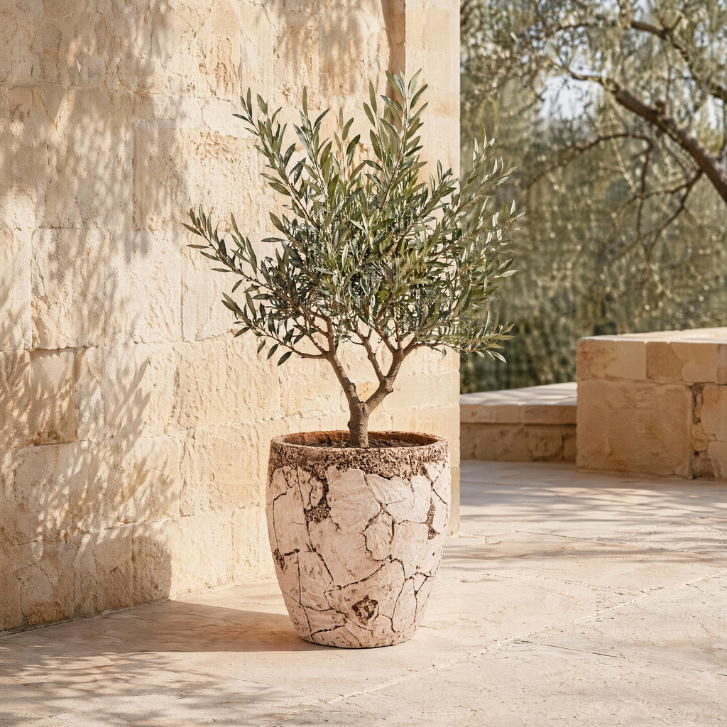 11" H x 10" Dia Fiberstone Planter Pot with Drainage Hole, Handcrafted Distressed Decorative Flower Pot for Indoor