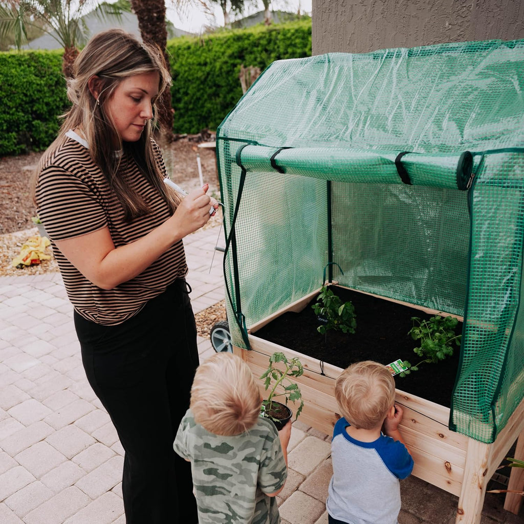 Expressions 36"x24" Elevated Garden Bed with Greenhouse Cover - Raised Wooden Planter Box with Legs, Mini Outdoor