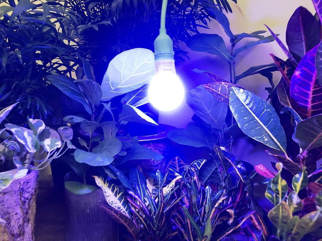 Absolute Daylight Plus Blue Spectrum Grow Light - Replaces up to 150W - Plant Growing Light Bulb for Seeding