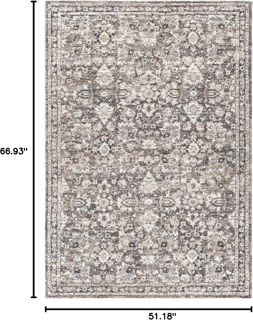 Borobudur Area Rug - Floral Damask Border Medallion Distressed - Traditional Oriental Transitional Turkish - High