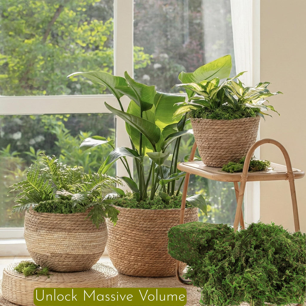 32OZ Large Capacity Artificial Moss - Bulk Fake Moss for Plants Indoor, Planter Filler for Artificial Plants, Crafts