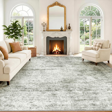 Washable Distressed Area Rug, Neutral Living Room Carpet