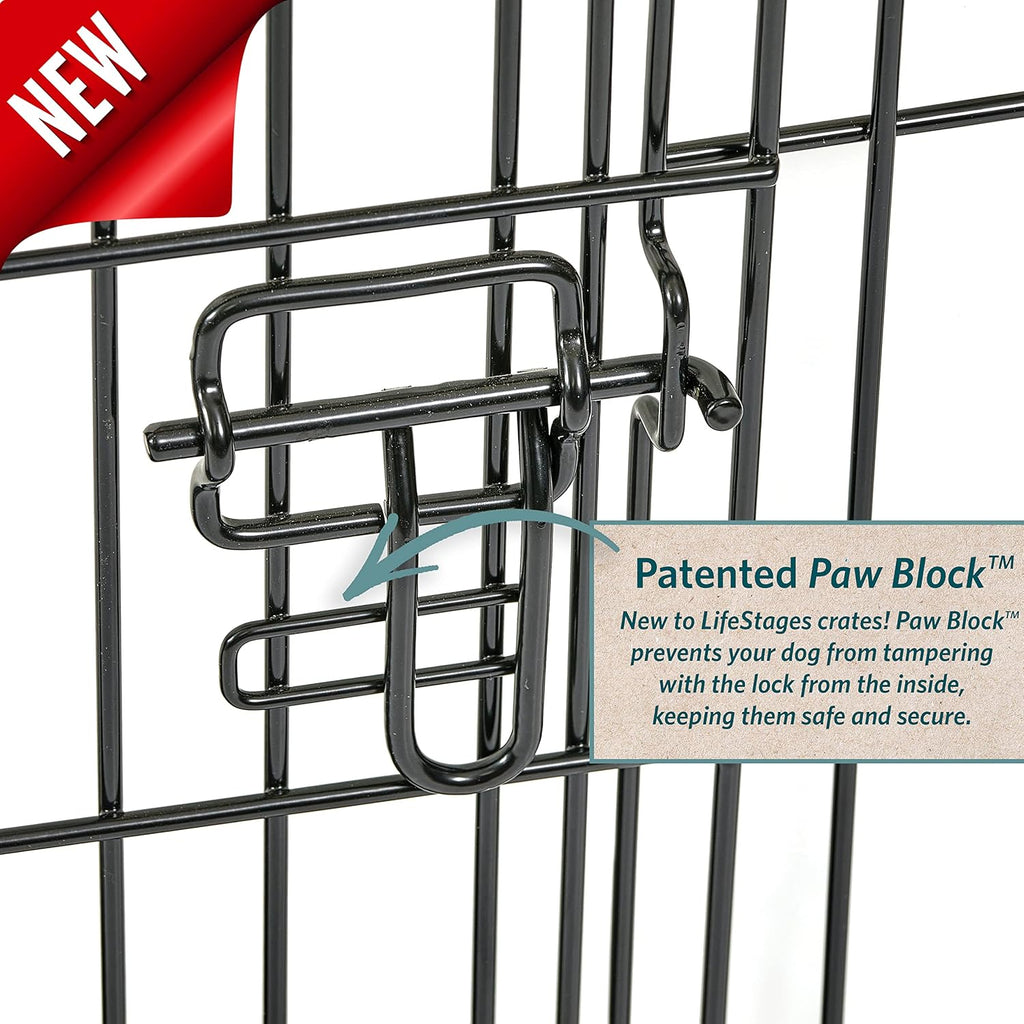 Intermediate LifeStages Single Door 36-Inch Folding Dog Crate, Enhanced Security, Includes Leak-Proof Pan