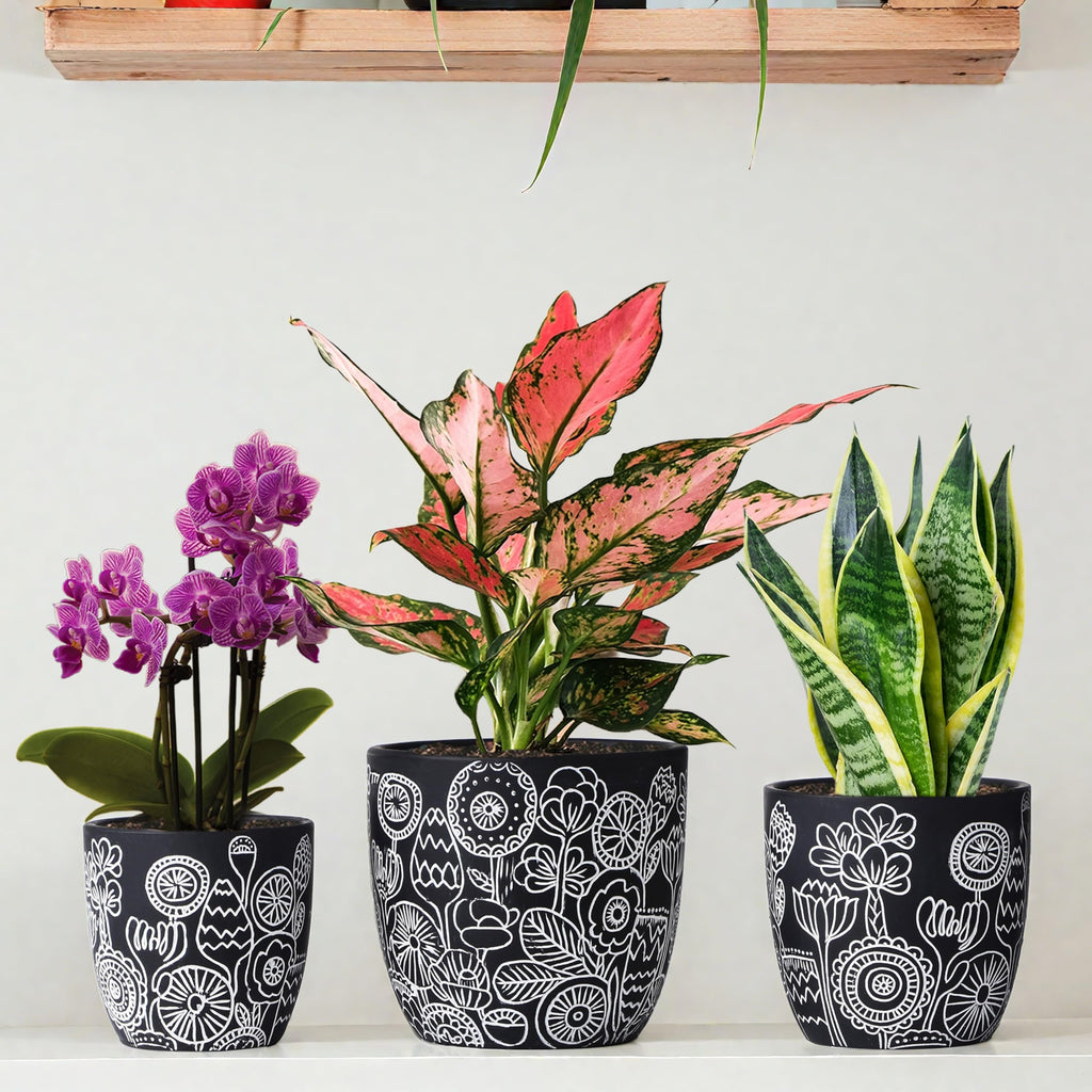 Terracotta Pots, 6.5+5+4.4 Inch Plant Pots with Drainage Hole- Floral Pattern, Black Boho Ceramic Planters for Indoor