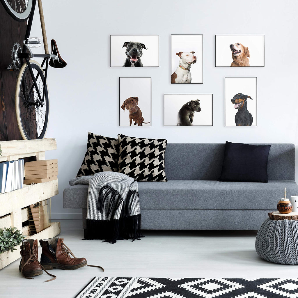 Format Picture Frame, 11x17, Black, Gallery Wall, 6-Pack