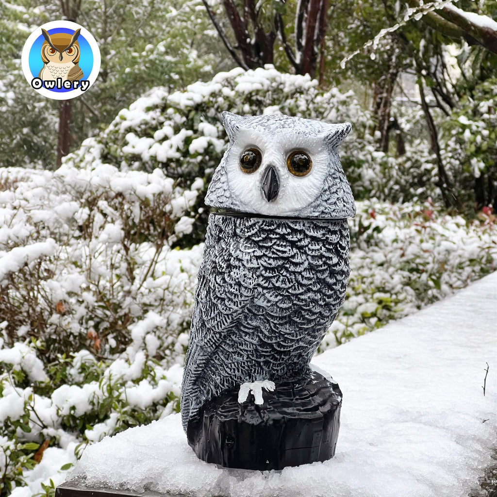 Snowy Solar Owl With Motion Detector, Flashing Eyes, Spinning Head, Realistic Hooting and Silent Mode, Outdoor