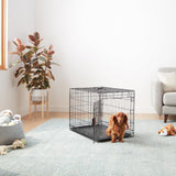 Portable, Foldable Metal Wire Dog Crate with Removable Tray, Single Door, Divider Panel, Quick Setup, 30 x 19 x 21 in