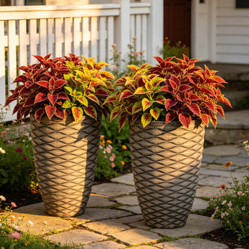 2-Pack 19" Rustic Black Resin Tall Planters with Wave Texture