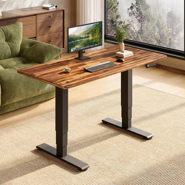 Solid Wood Dual Motor Standing Desk-48"x24"-Natural/Black