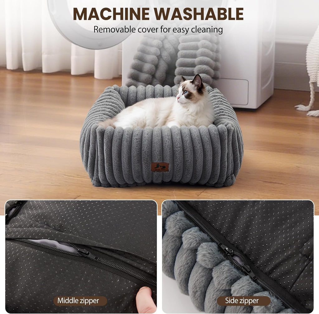 Cute Dog Bed for Small Dogs & Cats, Washable Fluffy Cat Beds for Indoor Cats, Rectangle Orthopedic Memory Foam Puppy