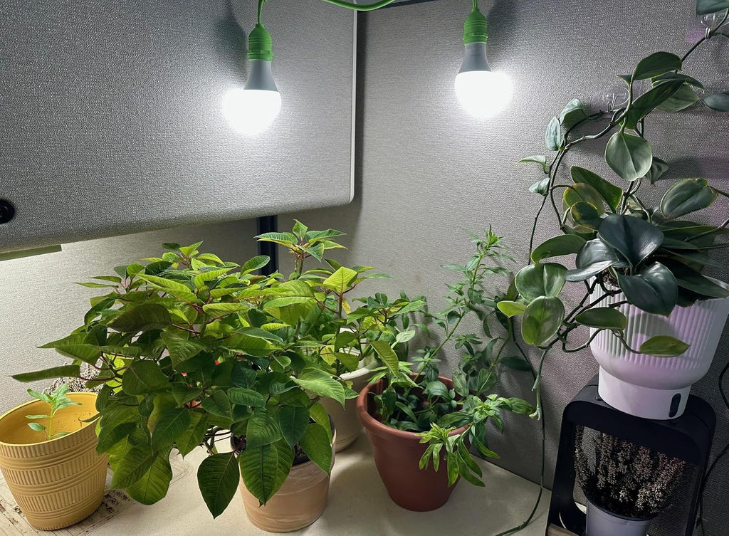 S Full Spectrum Absolute Daylight Plus Grow Light Bulbs (4-Pack)
