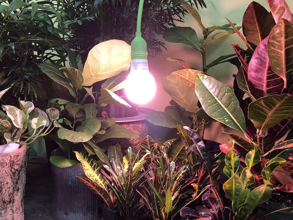 S Red Spectrum Ultra Grow Light Bulbs (4-Pack)