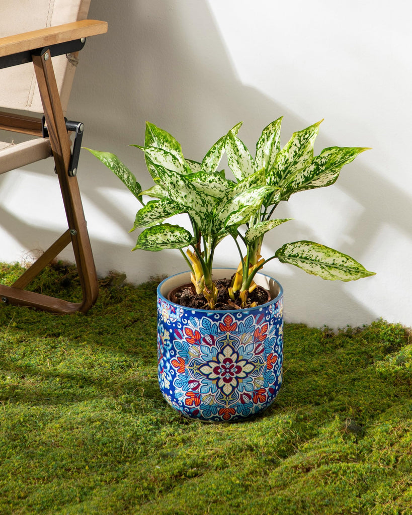 6 Inch Ceramic Plant Pots, Planters with Drainage Hole, Flower Pots Planters Pots for Indoor Plants, Modern Indoor