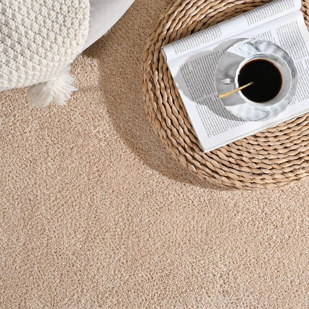 Large Modern Area Rugs Bedroom, Beige