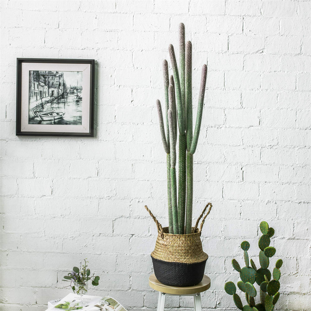 4ft Tall Artificial Cactus in Plastic Planter with Seagrass Basket