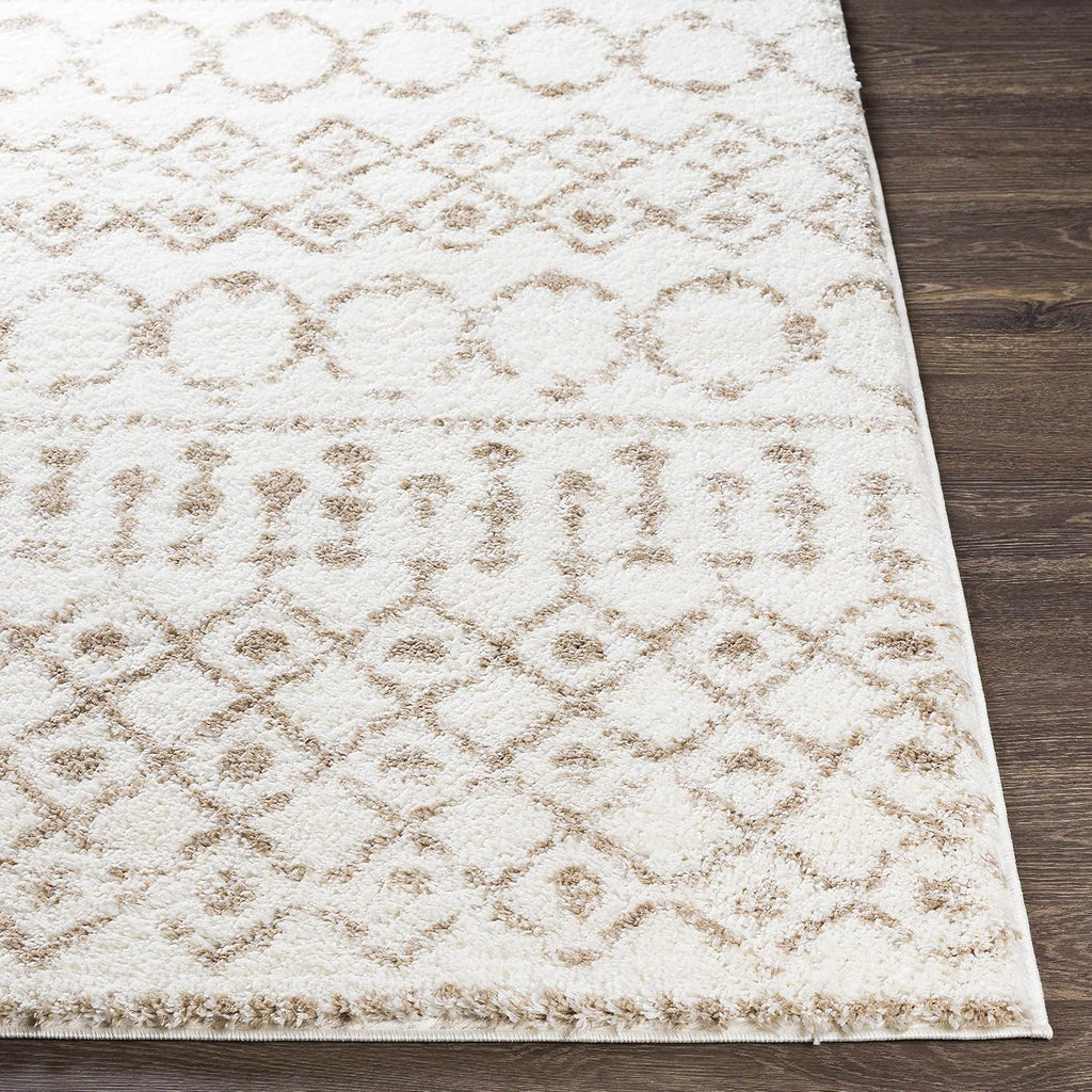 Hampton Living Room, Bedroom Area Rug - Geometric Trellis Diamond Circles Lattice - Bohemian Transitional Moroccan