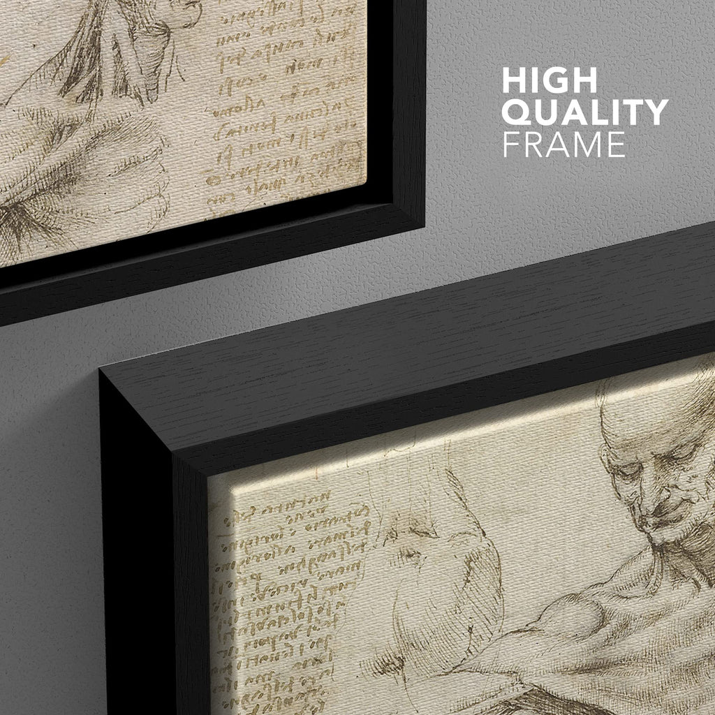 Framed Canvas Print Wall Art Study of Warrior's Head by Leonardo da Vinci Historic Cultural Illustrations Realism