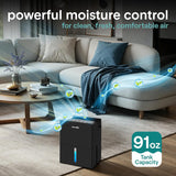 Dehumidifier, Quiet 2-in-1 Thermoelectric & Desiccant Dehumidifiers for Home