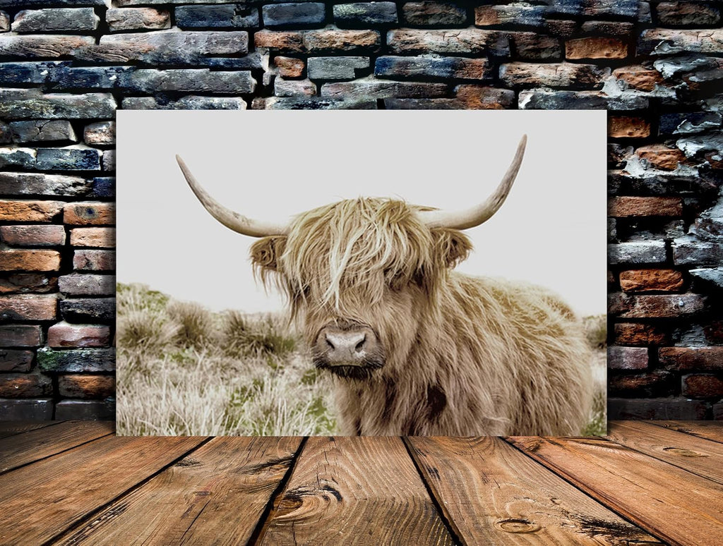 Modern Wall Art Attractive Animals Picture Black and White Background Canvas Highland Cow and Farmhouse Painting