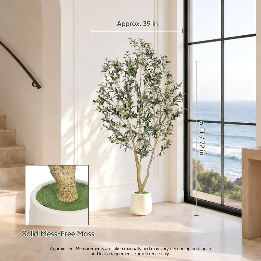 6ft Olive Trees Artificial Indoor with White Tall Planter