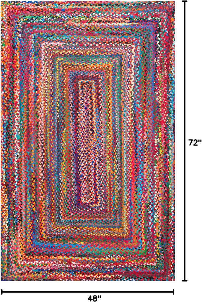 Tammara Multicolor Ombre Braided Area Rug, Oval