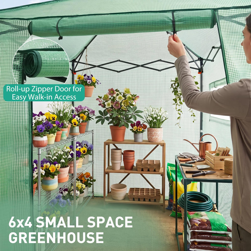 6x4 Easy Setup Small Pop Up Greenhouse, Clear/Green
