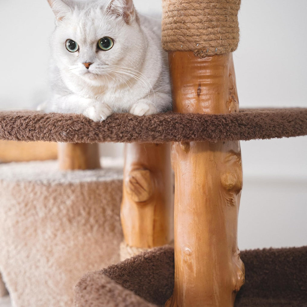 Modern Cat Tree for Indoor Large Cats & Multi-Cat Households, 68'' Solid Wood Cat Tower with 3 Condos, Heavy Duty Cat